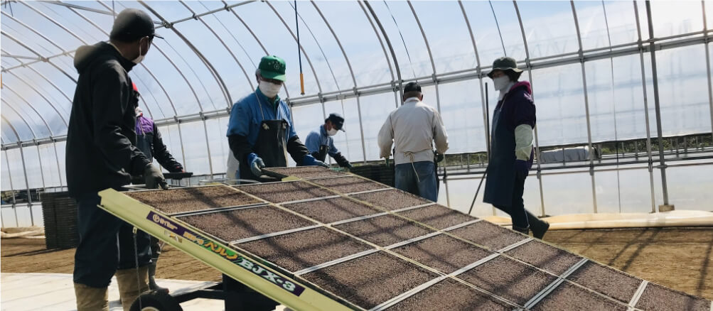 農園で働くスタッフの写真